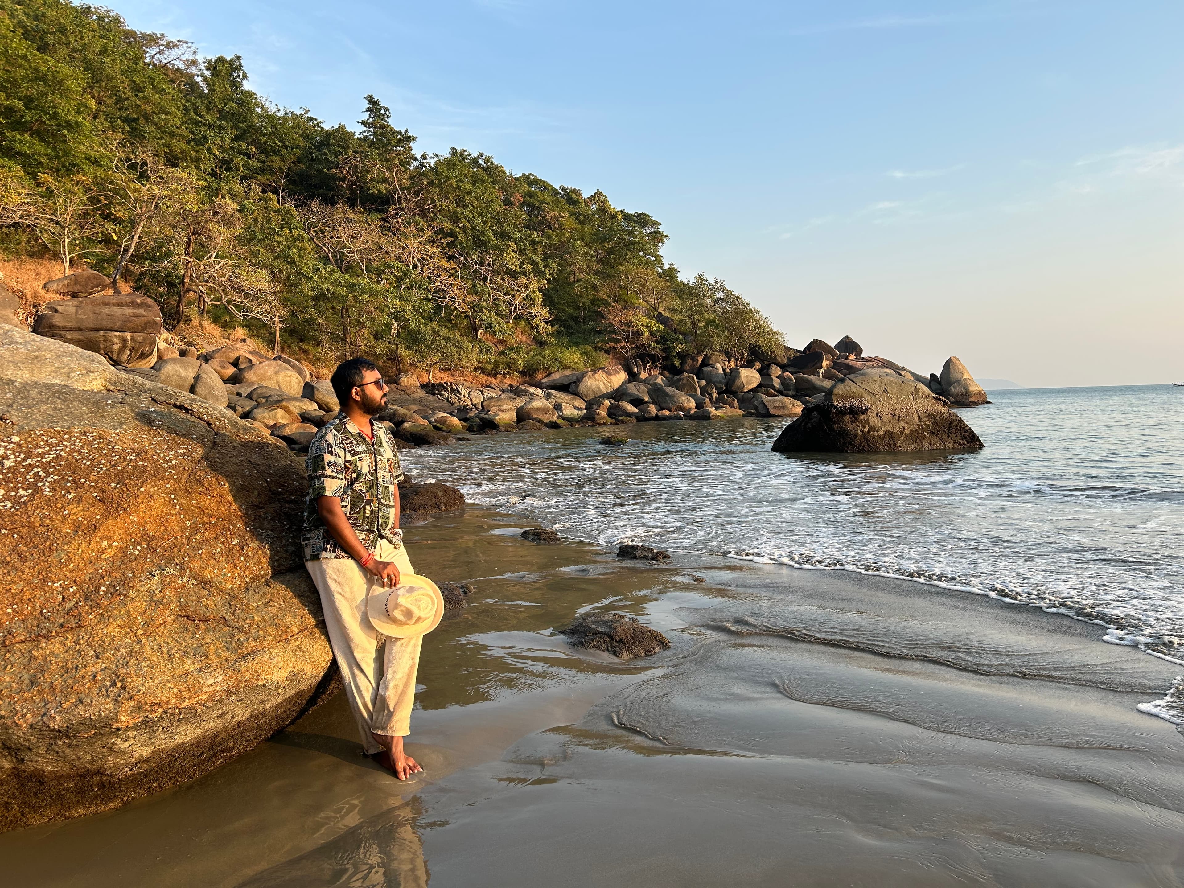The Flight of the Seagull: Finding the Flip Side of Goa